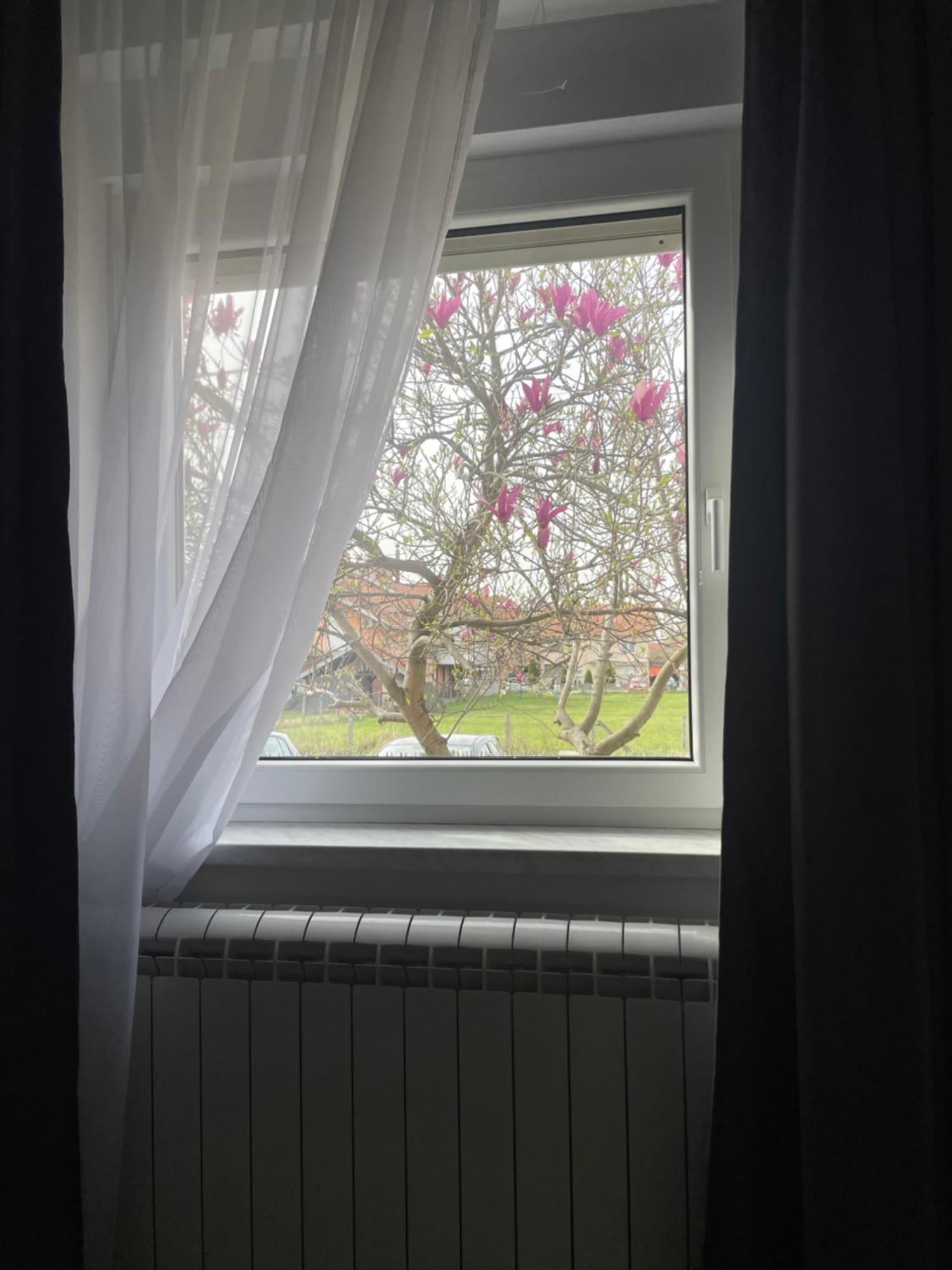 Deluxe Apartment Magnolia 2 베오그라드 외부 사진